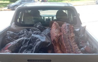 Mais de 400 quilos de carne são apreendidos e baratas são encontradas em estabelecimento em Novo Hamburgo