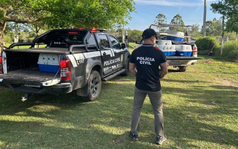 Aves acabaram resgatadas pela Polícia Civil em Nova Santa Rita nesta sexta-feira (14) | abc+