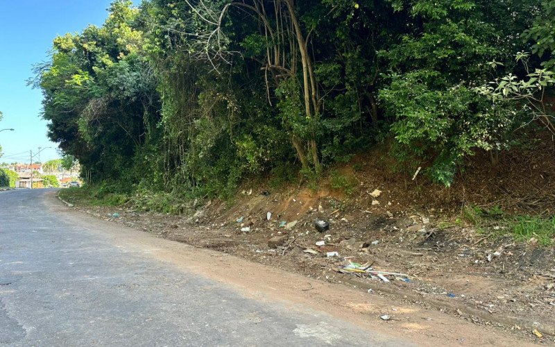 Rua dos Eucaliptos está limpa após reclamação de moradores | abc+