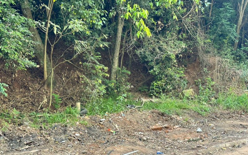 Rua dos Eucaliptos está limpa após reclamação de moradores | abc+