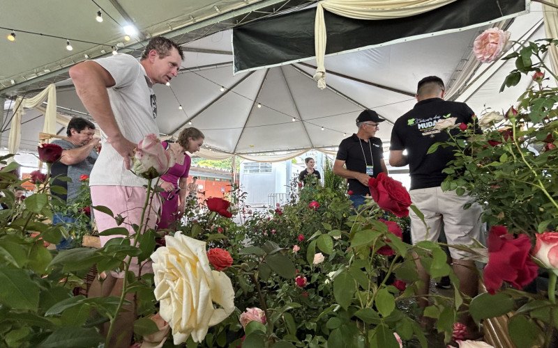 Outro ponto de grande movimentação foi o espaço de venda de mudas de rosas