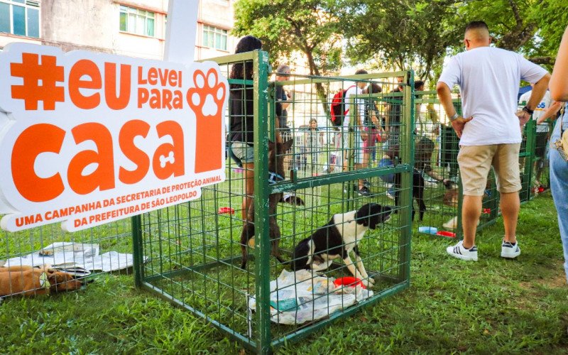 2º Pet Day ocorreu na Praça dos Correios e conseguiu um novo lar para 30 animais