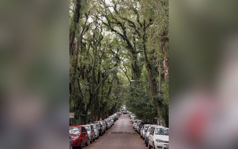 Rua Gonçalo de Carvalho, Porto Alegre, RS / Rua mais bonita do mundo 