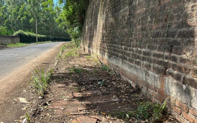Limpeza de lixão a céu aberto em rua de Novo Hamburgo dura quatro dias | abc+