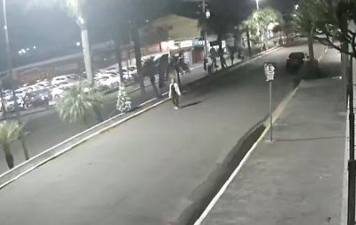 VÍDEO: Mulher disfarça e furta pinheirinho de Natal com enfeites no Centro de cidade da região