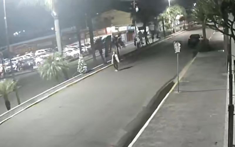 Imagens de câmera de monitoramento mostram mulher furtando pinheirinho em Parobé | abc+