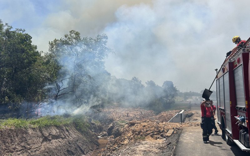 Incêndio de grandes proporções atinge área de vegetação às margens da BR-116, no trecho entre Novo Hamburgo e São Leopoldo