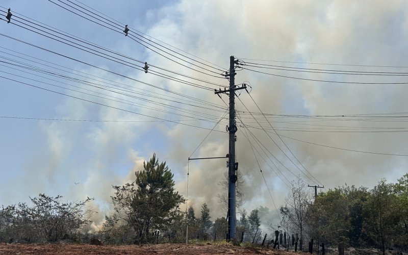 Incêndio de grandes proporções atinge área de vegetação às margens da BR-116, no trecho entre Novo Hamburgo e São Leopoldo