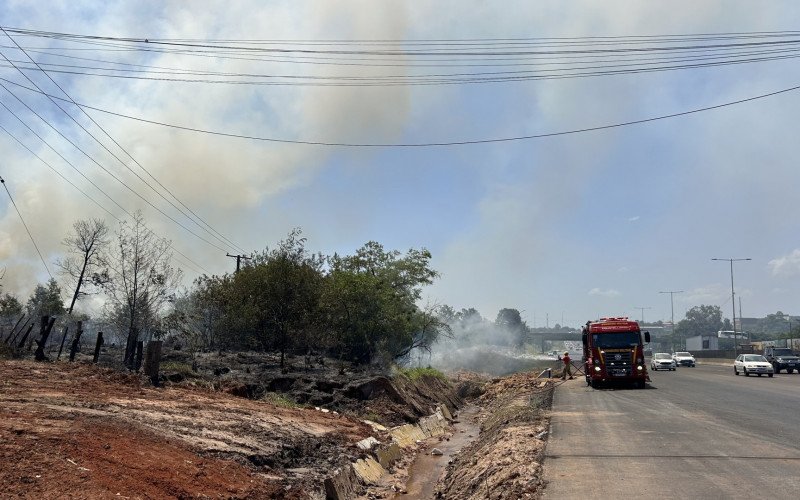 Incêndio de grandes proporções atinge área de vegetação às margens da BR-116, no trecho entre Novo Hamburgo e São Leopoldo