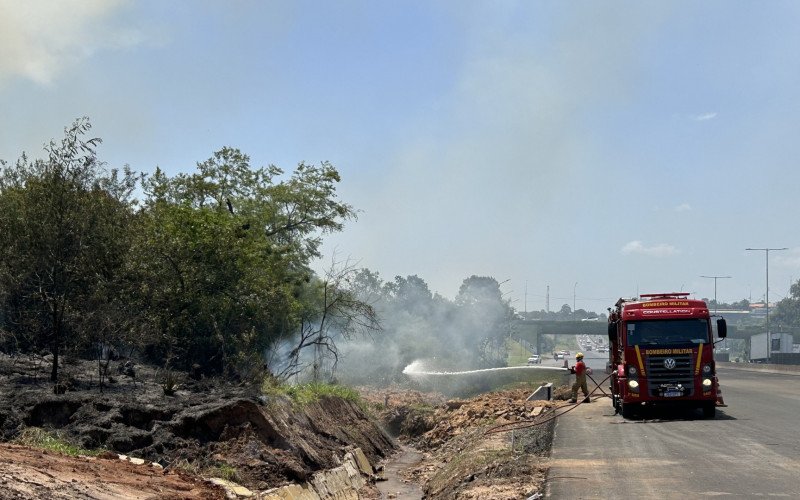Incêndio de grandes proporções atinge área de vegetação às margens da BR-116, no trecho entre Novo Hamburgo e São Leopoldo