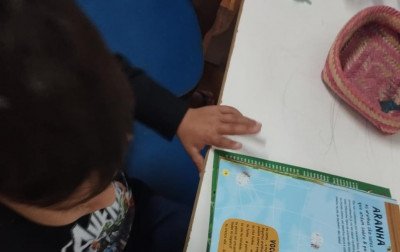O encanto da libélula e seus ensinamentos na Emei Érico Veríssimo