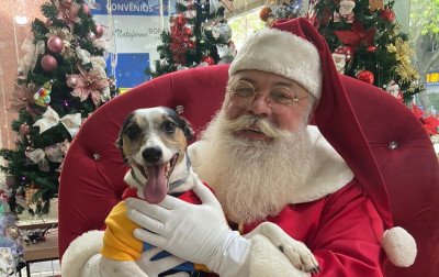 Agite de Natal promete encantar Hamburgo Velho no dia 14 de dezembro