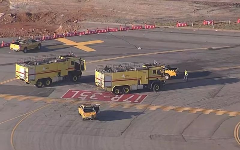 Cachorro é resgatado após invadir o aeroporto de Congonhas | abc+
