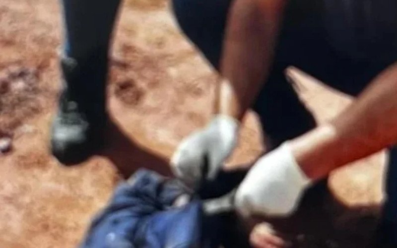 Cadáver encontrado às 9 horas da manhã de quarta-feira (19) seria do tio da criança | abc+