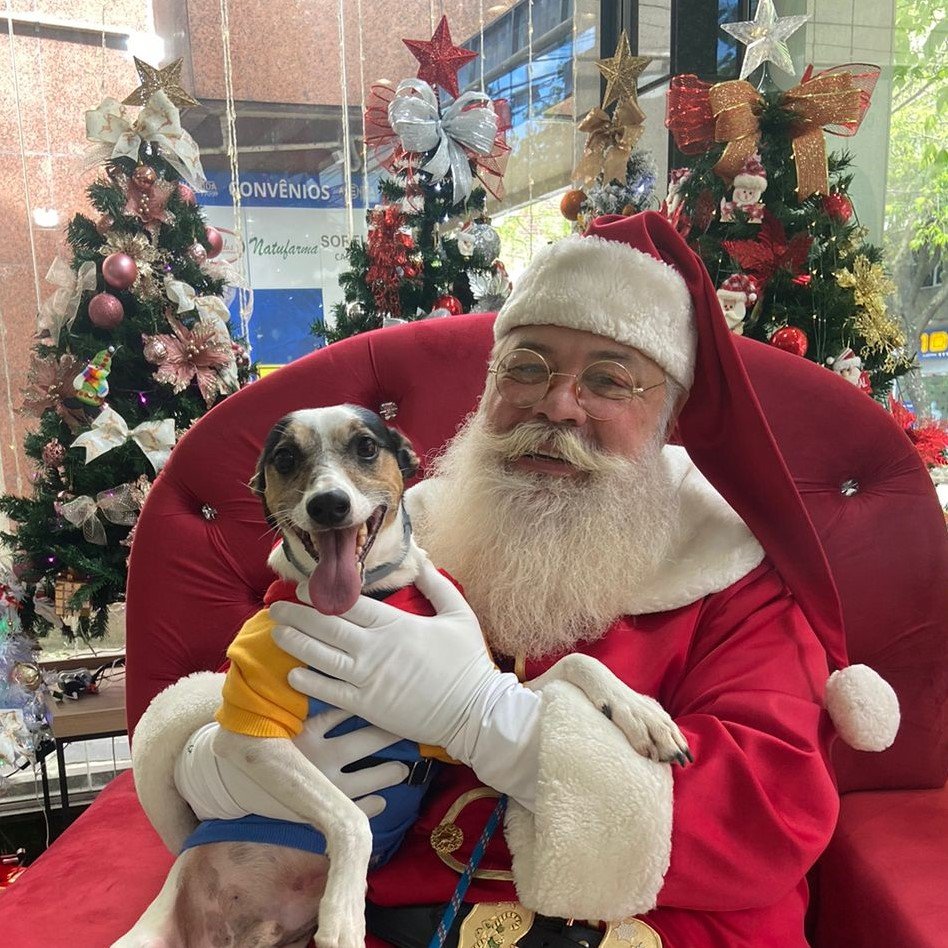 Papai Noel | abc+
