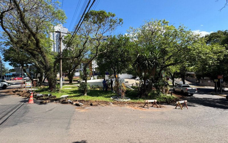 Árvores com risco de queda serão removidas do local