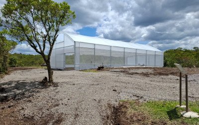 Nova estufa-viveiro da Reserva Pró-Mata em São Francisco de Paula terá produção de 2 mil mudas de araucárias ao ano