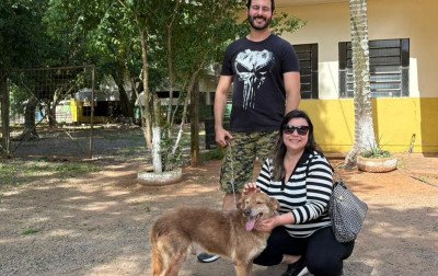 Cachorro que aguardava adoção há 13 anos no Canil Municipal ganha novo lar