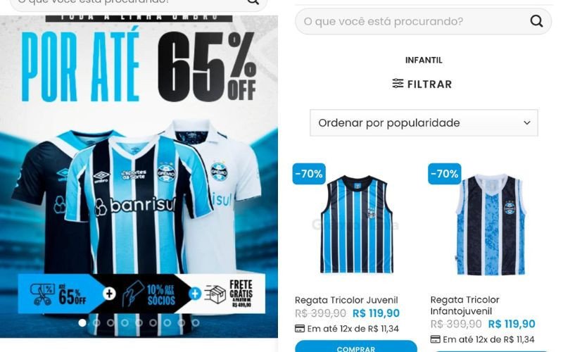 Site fake buscava fraudar torcedores do Grêmio | abc+