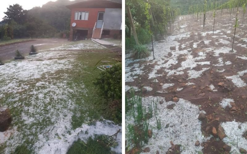 Queda de granizo causou prejuízo em Alto Feliz | abc+