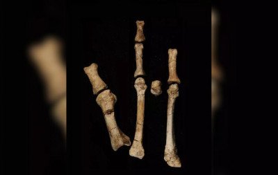 Nova descoberta indica que Lucy não estava sozinha na Etiópia