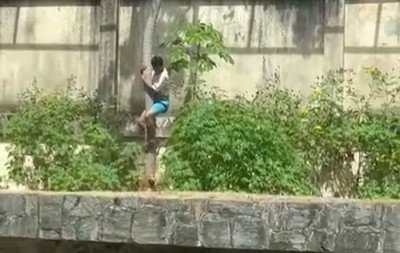 Em carta de Natal, jovem morto por leoa em zoo pediu amor da mãe e felicidade que nunca teve