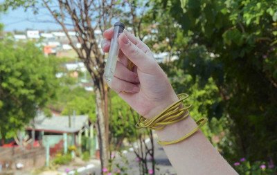 DENGUE: Novo Hamburgo está em alerta para a presença do mosquito e enfrenta risco iminente de surto da doença