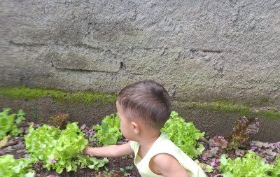 O convite a vivenciar a natureza no dia a dia da Emei Ernest Sarlet