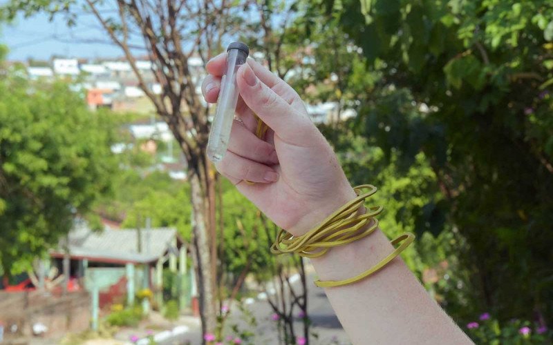  Levantamento Rápido de Índices para Aedes aegypti (LIRAa) revela que Novo Hamburgo está em estado de alerta para a presença do mosquito da dengue