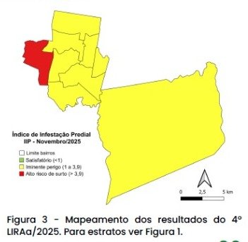 LIRAa revela que Novo Hamburgo está em estado de alerta para a presença de Aedes aegypti
