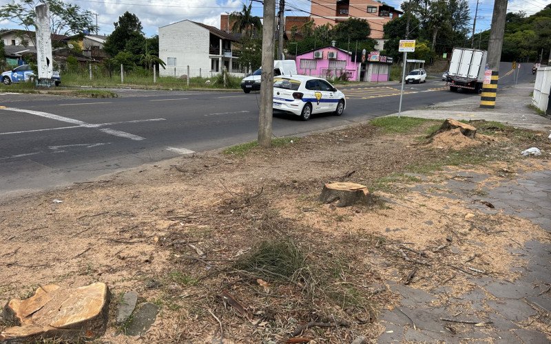 Árvores foram cortadas pela RGE, segundo Secretaria de Meio Ambiente | abc+