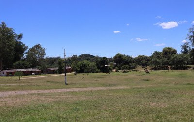 AONDE IR: 40º Rodeio Interestadual de Lomba Grande e feiras movimentam a região neste fim de semana
