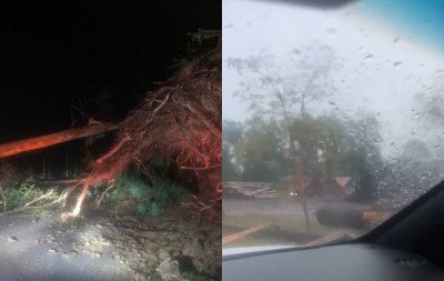 VÍDEO: Árvores são arrancadas e casas são destelhadas por tempestades em cidades da Serra gaúcha