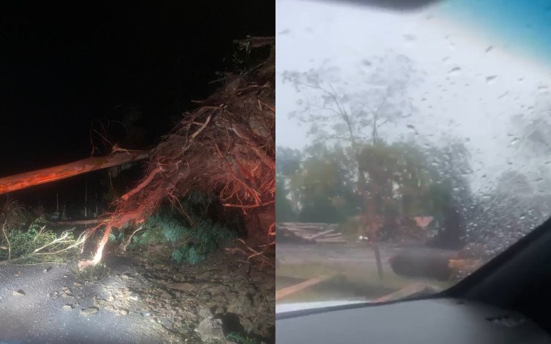 Árvores foram arrancadas pela forte tempestade em cidades da Serra gaúcha | abc+