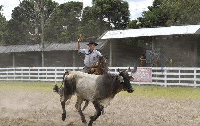 Rodeio de Canela entra em contagem regressiva e será um dos primeiros de 2026