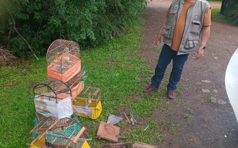 A equipe de fiscalização da Secretaria Municipal do Meio Ambiente (Semmam) apreendeu seis aves silvestres 