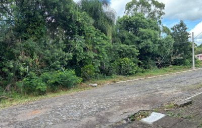 Moradores ainda sentem impactos de temporal que causou vendaval de 130 km/h no RS