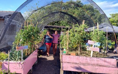 Horta Comunitária Jardim da Conquista é inaugurada