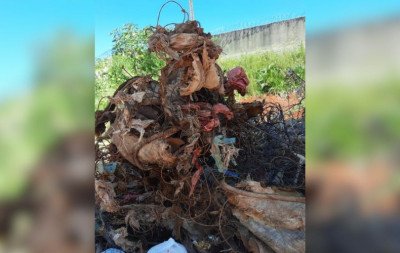 Parte do funcionamento da Casa de Bombas é interrompido em Novo Hamburgo por descarte irregular de colchão