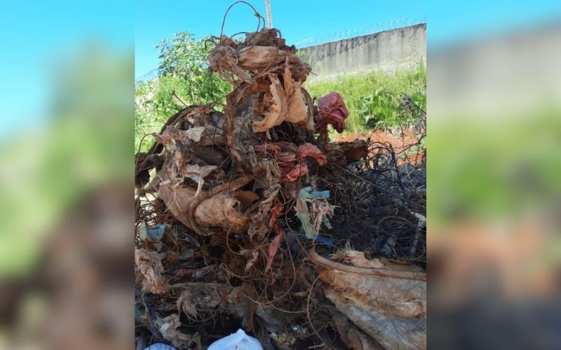 Descarte irregular de lixo danifica Bomba 5 da Casa de Bombas e equipamento passará por reparo | abc+