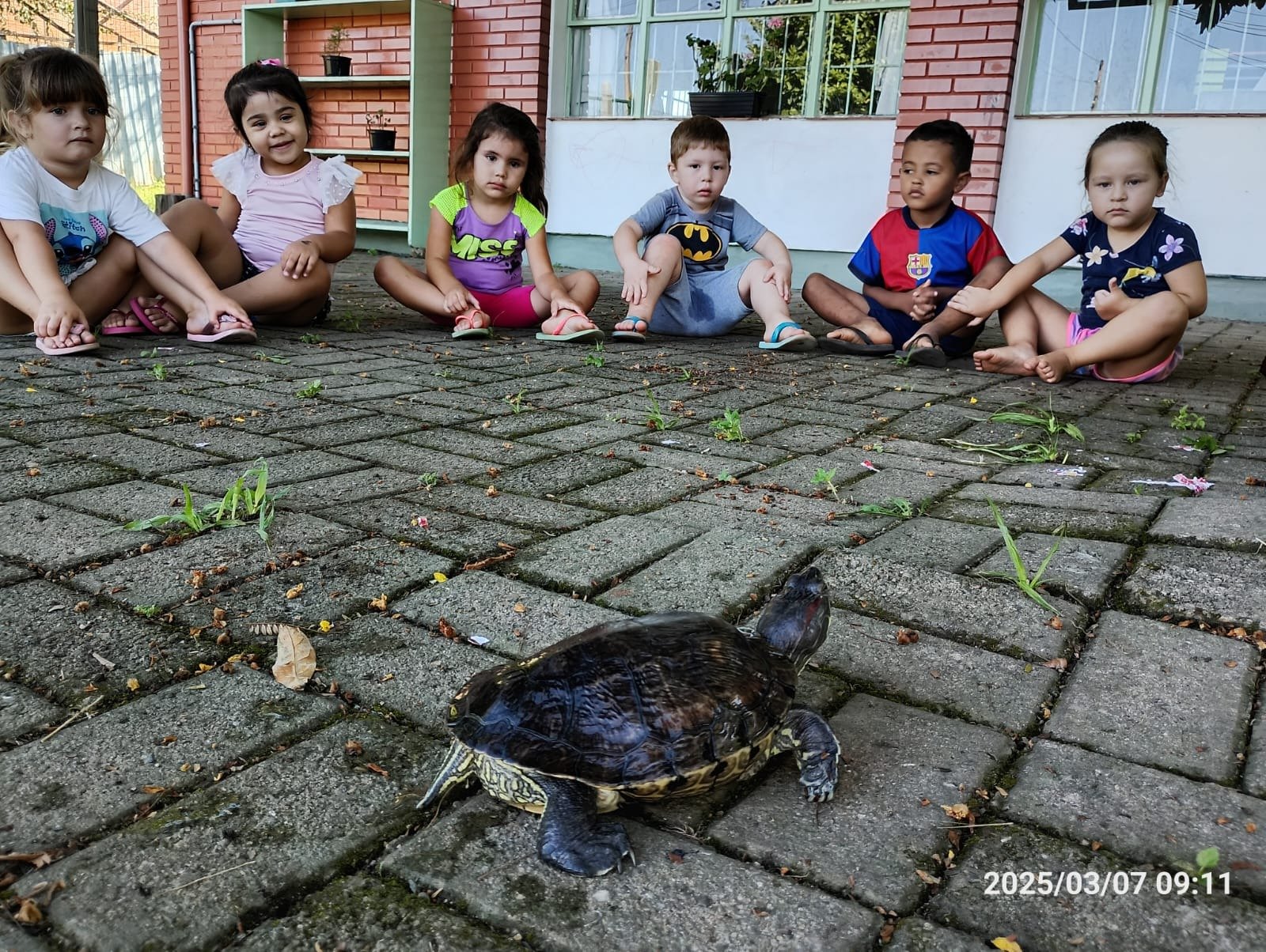 Tudo começou com a visita de uma tartaruga na escola | abc+