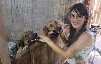 Dama e Luna: Cachorras que foram agredidas com mangueira estão disponíveis para adoção em Novo Hamburgo