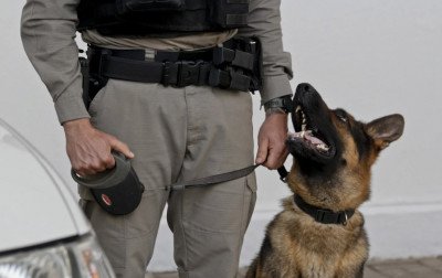 Em Canoas, Brigada Militar prendeu quase um foragido da Justiça por dia durante o ano de 2025