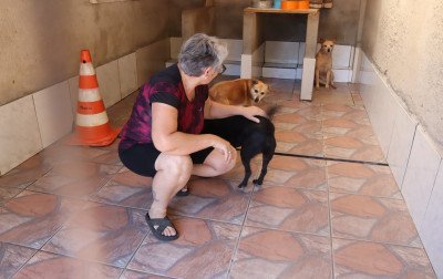 Novo Hamburgo cadastra seus protetores de animais