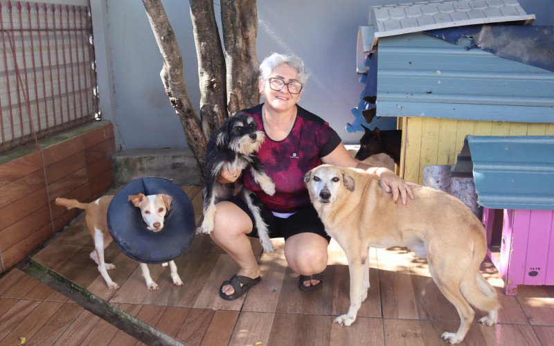 Nara Regina cuida de mais de 70 cães em diversos ambientes | abc+