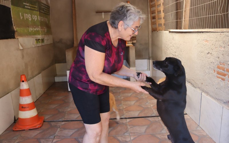 Nara Regina cuida de mais de 70 cães em diversos ambientes | abc+