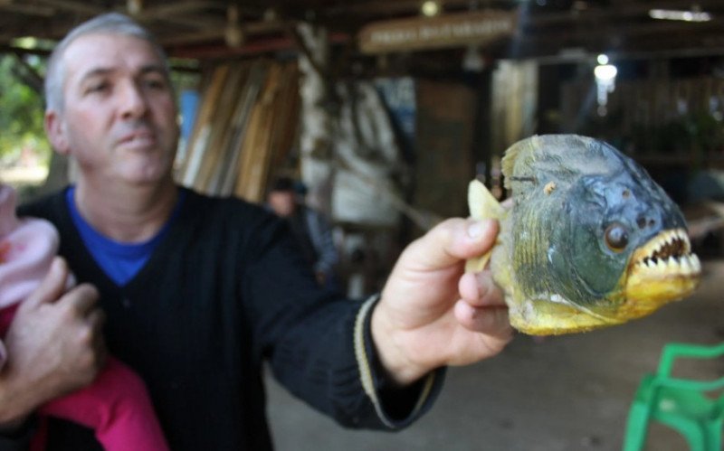 Marino Lopes guardou a primeira palomita tirada da água do Rio dos Sinos, em 2022 | abc+
