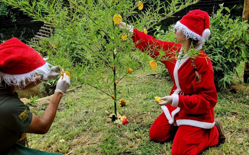 Animais do zoológico de Gramado ganham presentes de Natal 