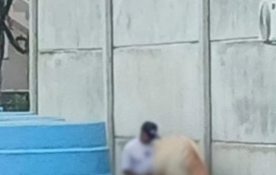 Homem é flagrado cometendo zoofilia no RS e associação de proteção aos animais denuncia crime à Polícia