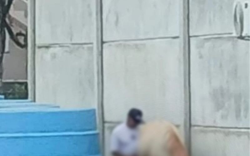 Homem é flagrado cometendo zoofilia e associação de proteção aos animais denuncia crime à Polícia | abc+